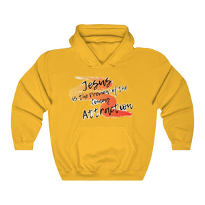 Coming Attraction Adult Female Heavy Blend™ Hooded Sweatshirt in Gold, Dark Chocolate, Forest Green, Military Green, Dark Heather, Irish Green, Purple, Red, Royal, Sport Grey, White